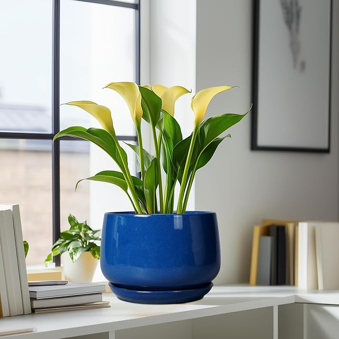 G EPGardening Ceramic Pots for Plants, 9 Inch Modern Round Planter - Image 8