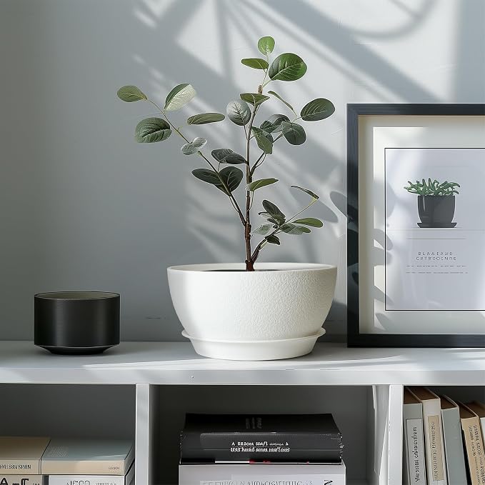 T4U 8 Inch Plant Pots, Plastic Planters - Image 5
