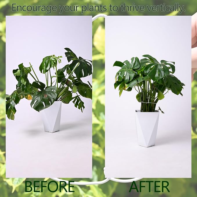 White Monstera Plant Stem Support - Image 3