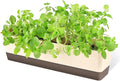 GREANER Window Boxes, 1 Pack 16 x3.8 Inch Indoor Rectangle Planter, Herb by GREANER