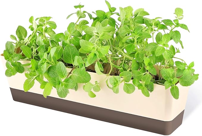 GREANER Window Boxes, 1 Pack 16 x3.8 Inch Indoor Rectangle Planter, Herb by GREANER