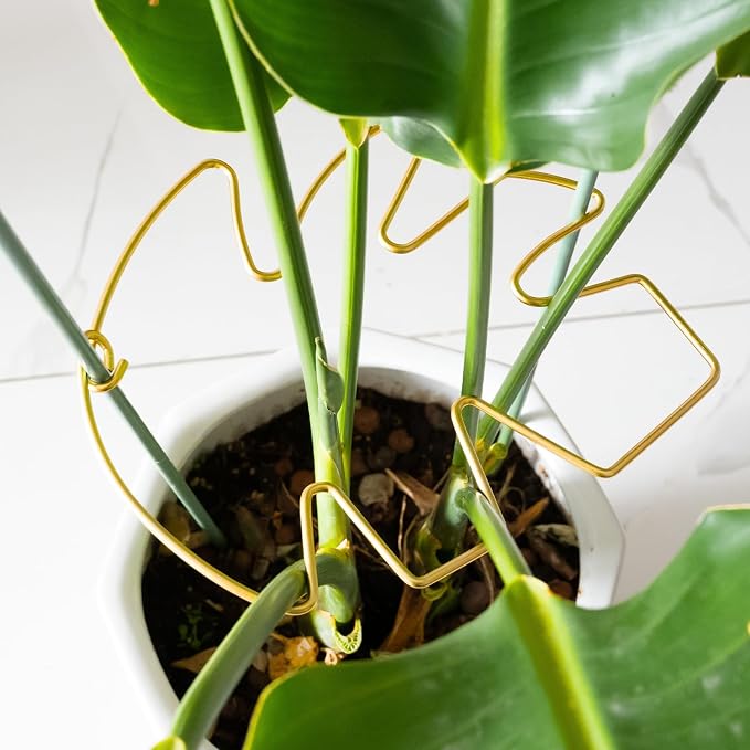 5PCS Durable Monstera Plant Stem Support Stake - Image 7