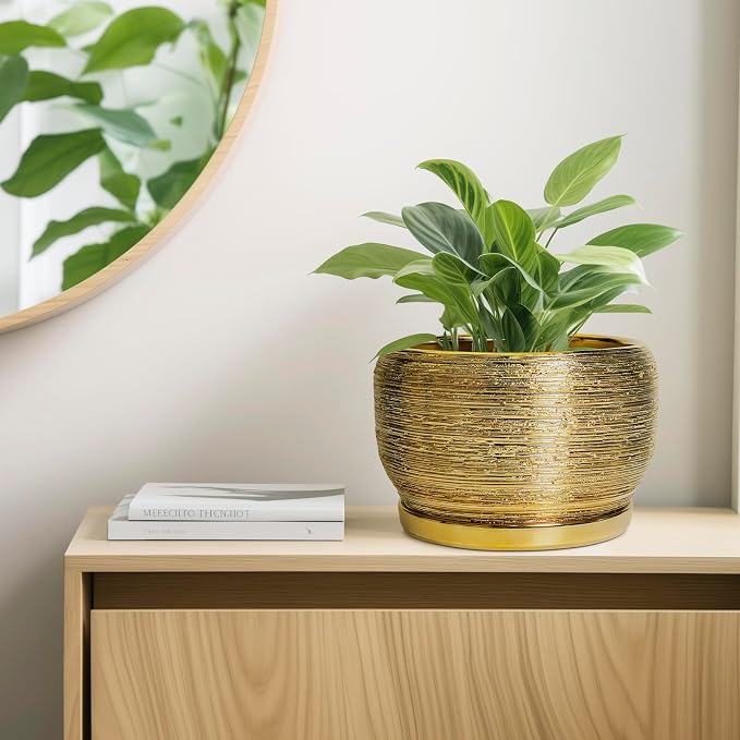SQOWL Ceramic Planter for Indoor Plants - Image 7