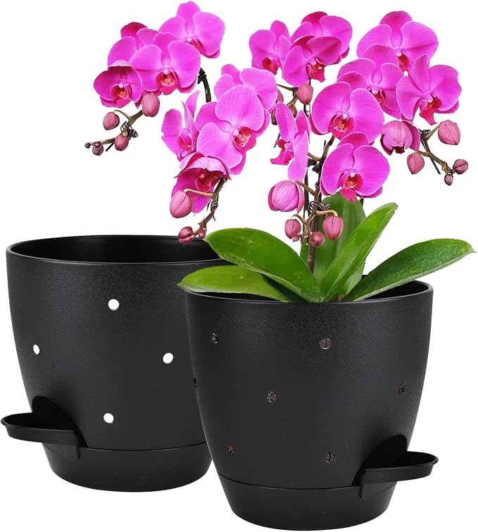 6 Inch Orchid Pots with Holes, 2 Pack Self Watering Planters by Vanslogreen