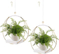 2 Pack Hanging Planter Holder for Indoor Plants, Plant Hanger by hismocal