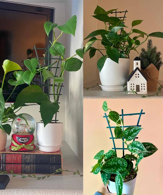 Plant Trellis Indoor, Small Plant Climbing Trellis - Image 7