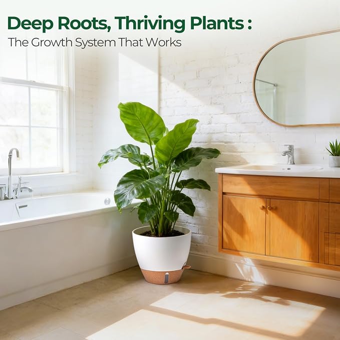 T4U 5 Pack Self Watering Pots - Image 7