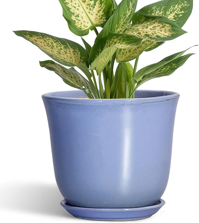 Ceramic Plant Pots by SUNPOTFOR