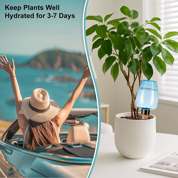 8 Pcs Plant Watering Globes Self Watering Planter Insert Plants Top Fill Water - Image 4