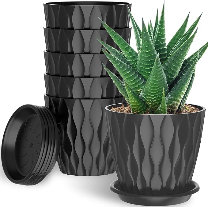 6 Pack 6 Inch Indoor Plant Pots by Unknown
