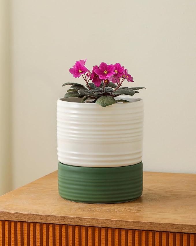 Self Watering Pots for Indoor Plants, 6 Inch Ceramic Self Watering Plant Pot - Image 4