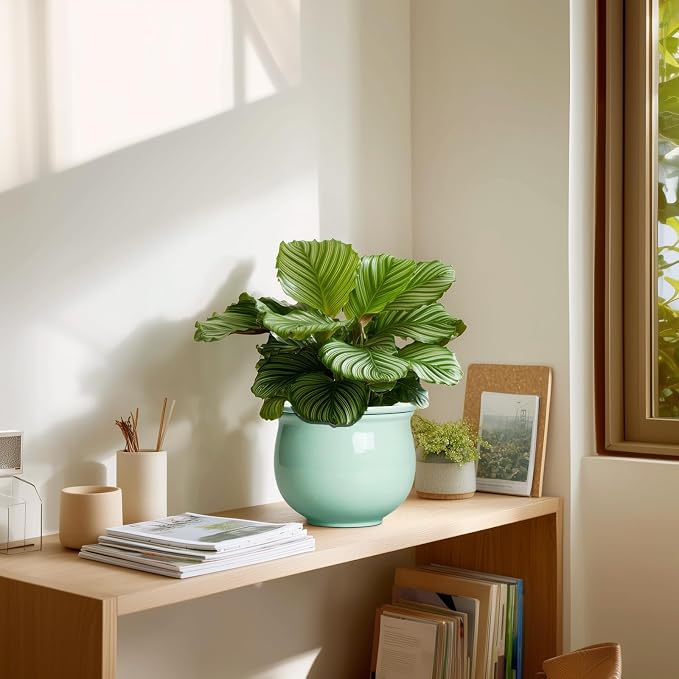 6 Inch African Violet Pots, Ceramic Self Watering Planter - Image 7