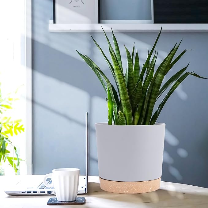 QCQHDU 6.5 inch Plant Pot, 2 Pack Planters - Image 5