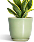 Ceramic Flower Pots by SUNPOTFOR