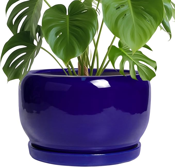 SQOWL Ceramic Plant Pot by SQOWL