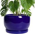 SQOWL Ceramic Plant Pot by SQOWL