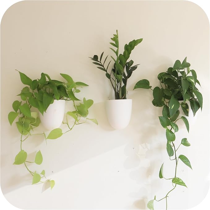 PlantPod Classic by MakeGood