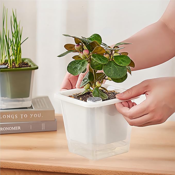 FAMZ Self Watering Pots for Indoor Plants 3 Pack，Clear Plant Pots - Image 6