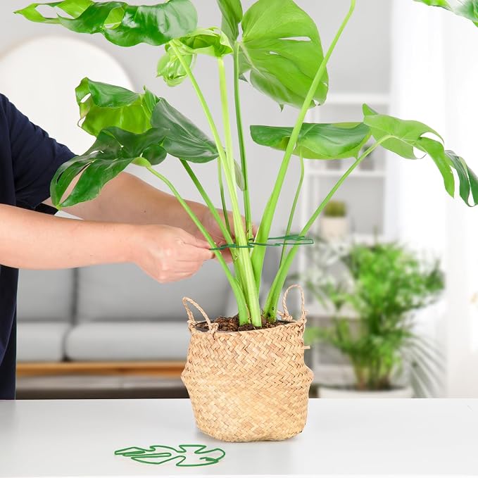 10PCS Iron Monstera Plant Support, Uniquely Designed Indoor Plant Accessories - Image 7