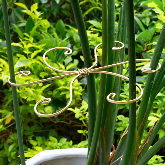 Monstera Plant Stem Support Set of 5 - Image 6