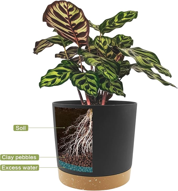 QCQHDU 8 inch Plant Pot, 2 Pack Planters - Image 4