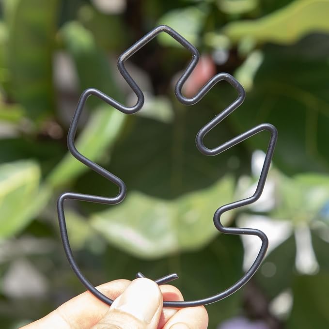 Monstera Plant Stem Support Set - Image 7