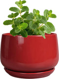 G EPGardening Ceramic Pots for Plants by GEPGardening