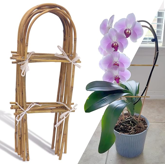 10 Pack 2ft U-Shape Bamboo Trellis by Biotolot