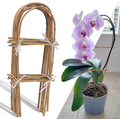 10 Pack 2ft U-Shape Bamboo Trellis by Biotolot