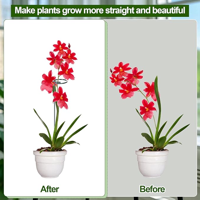 Mwellewm 3 Sets Plant Stakes 12/25/36 Inch Adjustable Plant Support Stakes Tall - Image 7