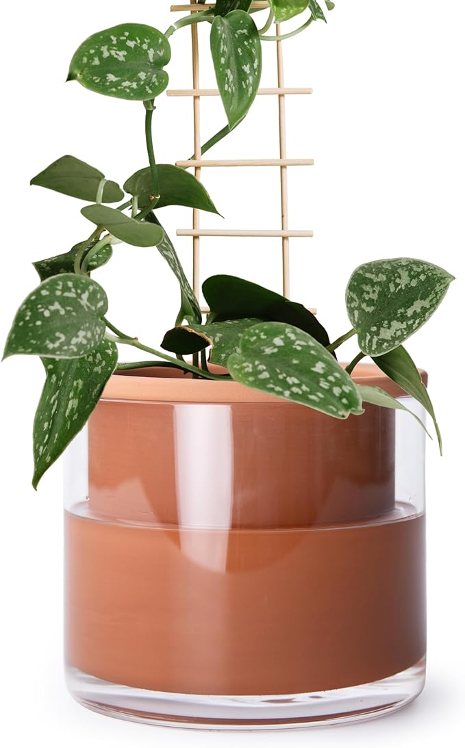 Phoenix Vine 6 Inch Self Watering Plants Pot, Design Terracotta Pot by Phoenix+Vine