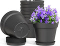 4 Inch Plastic Plant Pots with Drainage Holes and Trays – 8 Pack Small Nursery by WSMKSZ