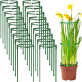 36Packs Plant Support Stake Half Round Plant Support by BuyNow