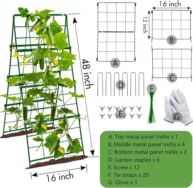 Thickened Cucumber Trellis for Raised Garden Bed - Image 3