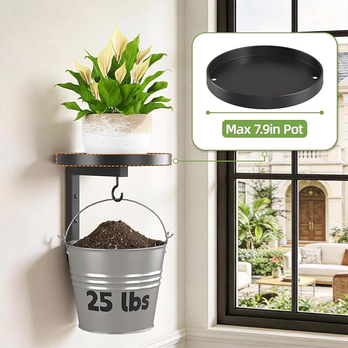 iDavosic.ly Wall Plant Holder Set of 2 - Image 5