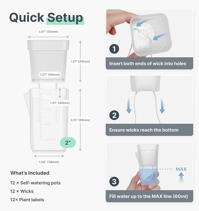 12 Pack 2" Mini Self Watering Pots - Image 6