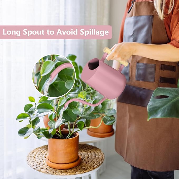 Watering Can Indoor Plants, 35oz Small Indoor Stainless Steel Metal Watering - Image 2