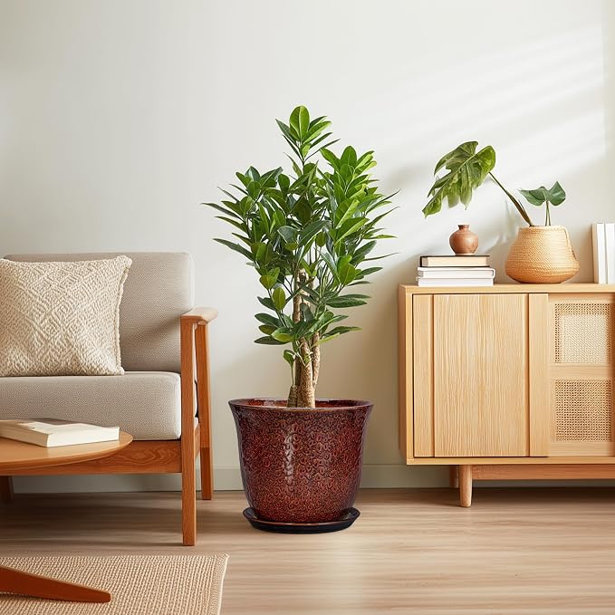 Ceramic Pots for Plants - Image 7