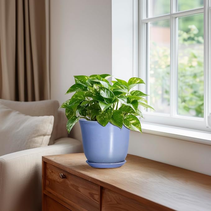 Ceramic Plant Pots - Image 5