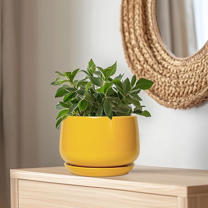 G EPGardening Ceramic Flower Pot - Image 5