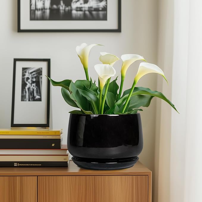 G EPGardening Ceramic Plant Pots - Image 6
