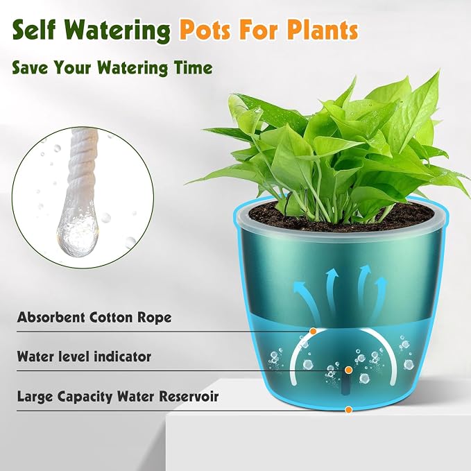 Self-Watering Pots for Indoor Plants, Small African Violet Pots - Image 2