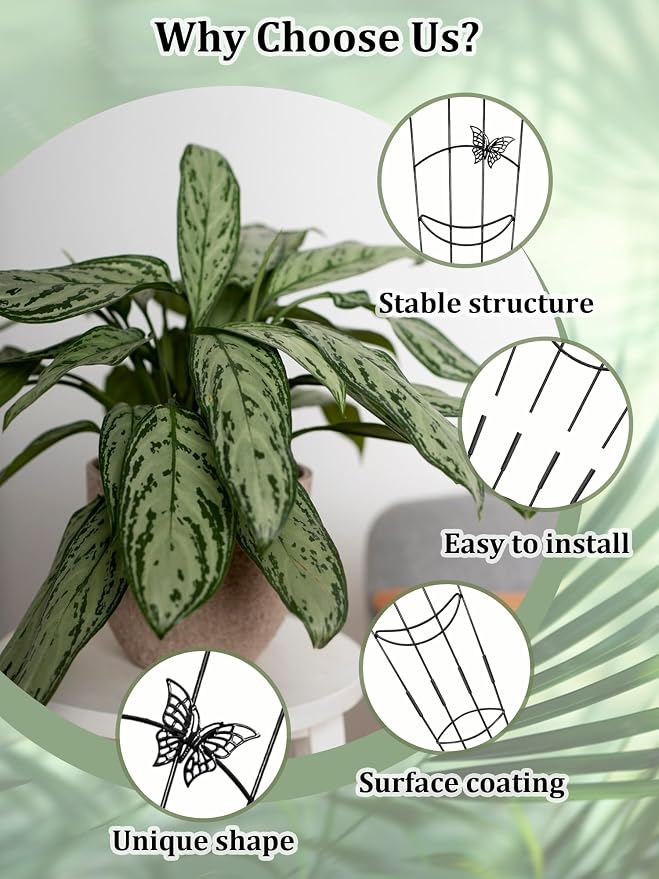 2 Pcs Tall Trellis for Potted Plants, Plant Pothos Climber Support for Monstera - Image 3