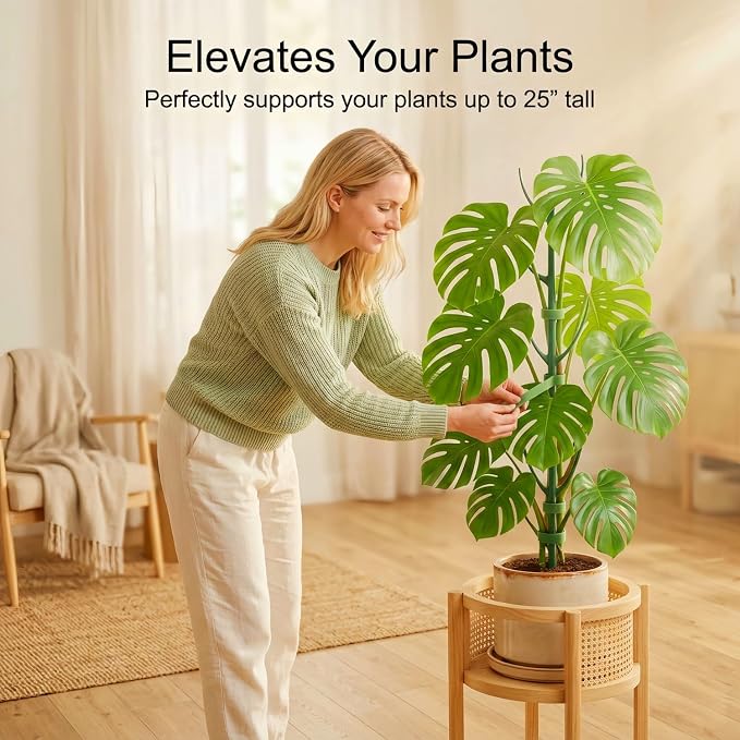 30-Pack Monstera Plant Support Stakes - Image 3