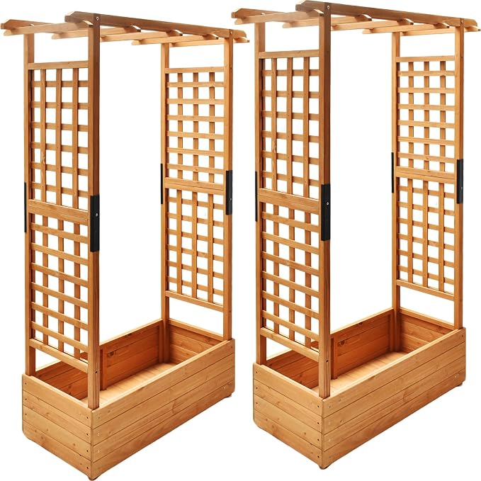 Raised Garden Bed with Wood Trellis Set of 2 Outdoor Planter Box by Anraja