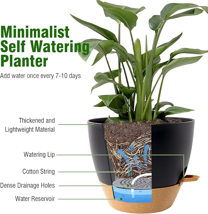 8 inch Self Watering Pots, 2 Pack Plastic Planters - Image 5