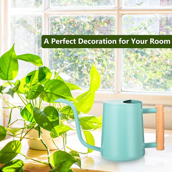 Watering Can Indoor Plants, 35oz Small Indoor Stainless Steel Metal Watering - Image 3