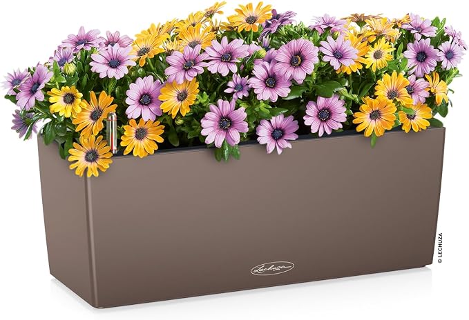 Lechuza BALCONERA Color 50 Nutmeg, Self-Watering Window Box, H7.5 L19.7 W7.5 in - Image 2