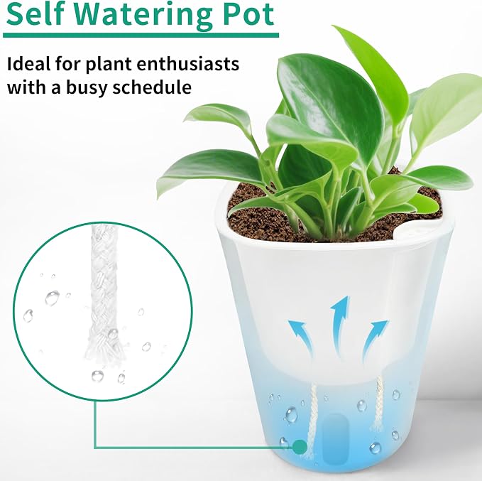 TCBWFY 5 Inch Self Watering Pots - Image 4