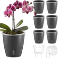 Self Watering Pots for Indoor Plants, Small African Violet Pots by KvyusFlourish